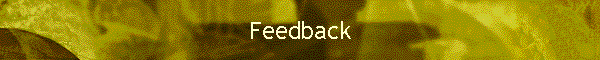 Feedback