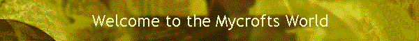 Welcome to the Mycrofts World